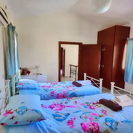 Jasmin فيلة كورال باي